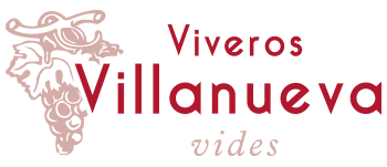 Logo de Viveros Villanueva Vides