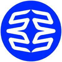 Logo de Wild Lights