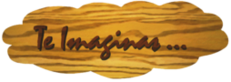 Logo de Te Imaginas...