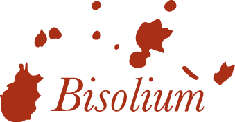 Logo de Bisolium, S.L.